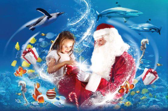 Dive into the ultimate underwater adventure on Westside this Christmas
