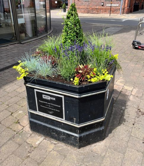 Fresh plants provide boost to businesses on Sheepcote Street