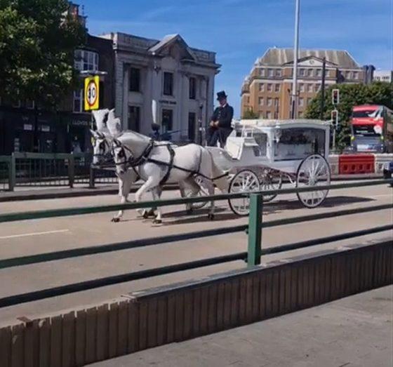 Westside BID teases city council over lack of horse-drawn vehicle signage