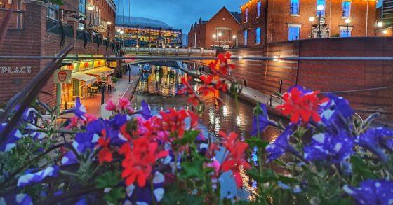 Dazzling floral display sets off winning image of Brindleyplace at night