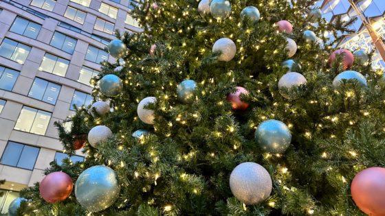 Activate! Christmas tree helps to light up Arena Central