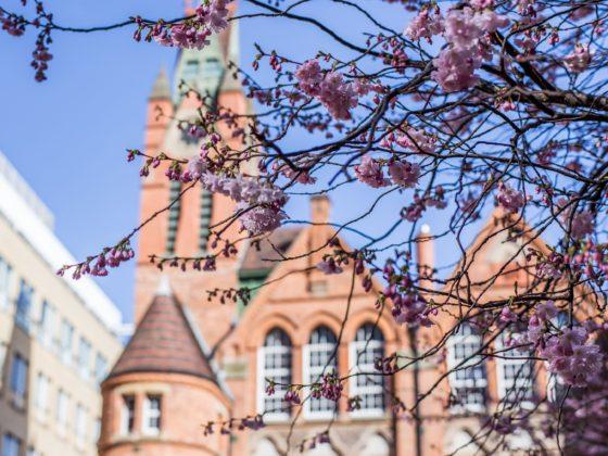 Celebrate Spring with special concert at Brindleyplace