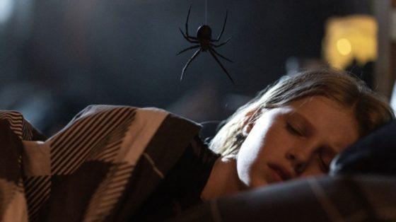 FILM REVIEWS: Spider horror Sting and Disney’s Young Woman and the Sea