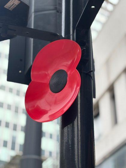 Westside BID Expands Poppy Appeal with New Visible Remembrance Points 